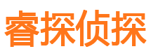 东兴市调查公司